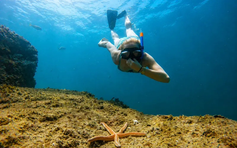 Persona con esnórquel explorando el paraíso submarino