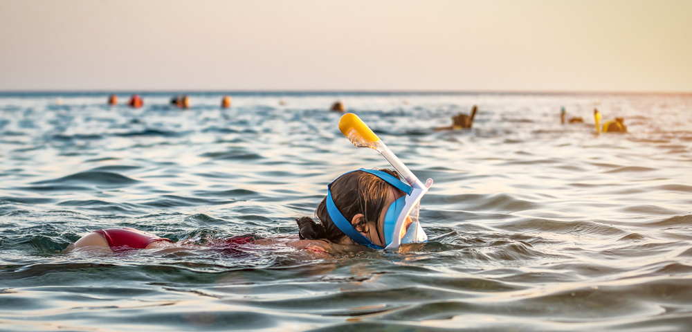 How To Make The Most Of A Snorkeling Trip In Cabo San Lucas