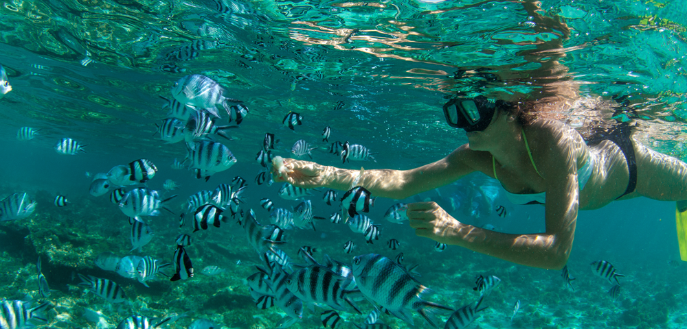 Snorkeling At Lover’s Beach: Cabo’s Premier Underwater Adventure