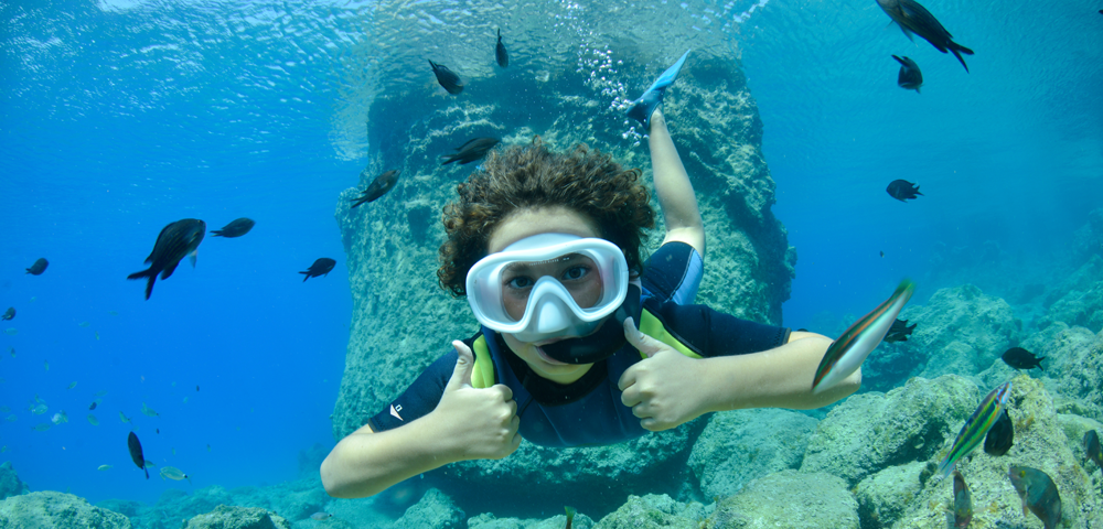 The Ultimate Snorkeling Experience In Cabo Pulmo, Mexico